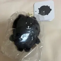 ナガノのくま