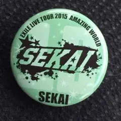 EXILE AWライブグッズ 世界 缶バッチ