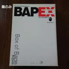 2026年最新】A BATHING APE 汚れ・破れ・臭いなど：あり その他の人気