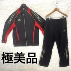 東海大 陸上部 駅伝 ジャージ上下 ※細身/ 箱根 全日本 代表 東海大 陸上部 駅伝 ジャージ上下 ※細身/ 箱根 全日本 代表 エリート
