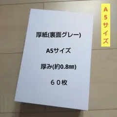 Item thumbnail for item d3f3d419-92b5-46ec-9b5c-6cfb4fc2546c