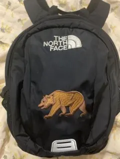 THE NORTH FACE HOMESLICE リュック