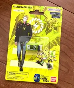 BEMEMORY. パルスモンDim