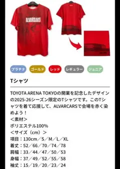 アルバルク東京　Tシャツ&クリアファイル