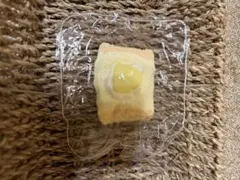 ケビンスタジオ　スクイーズ（チーズ）