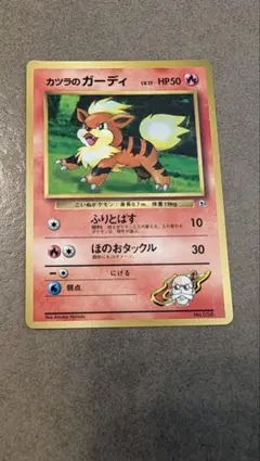 カツラのガーディ ポケモンジム第3弾 グレンタウンジム カツラ