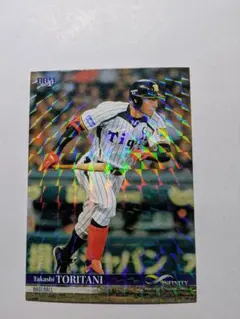 2026年最新】鳥谷の人気アイテム - メルカリ