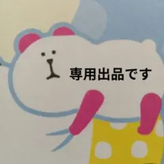 専用出品です