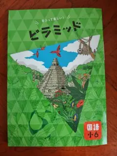 【最新版】 新品 ピラミッド問題集 国語 小６【解答付】