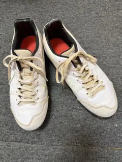 Item thumbnail for item 8e725f1b-0d8a-482d-9b88-2bfef3ed9a00