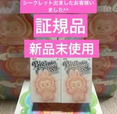 【正規品・未開封】Labubu Big into Energy 2箱