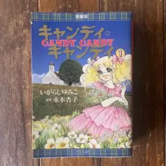 2025年最新】愛蔵版 キャンディキャンディの人気アイテム - メルカリ