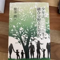 少年法、融合分野としての