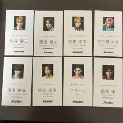 SnowMan 名刺カード まとめ売り