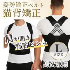 猫背矯正 姿勢サポーター背筋ベルト男女兼用 肩甲骨サポート着脱簡単姿勢補正ベルト