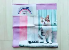 日本製【新品未使用】岩合光昭 猫 大判 ハンカチ「ピシュー」