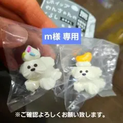 【m様専用】ホイップわんちゃんのくらし　おめかし　やや訳あり　２種類セット
