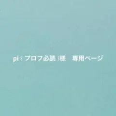 pi ꒰ プロフ必読 ꒱様　専用ページ