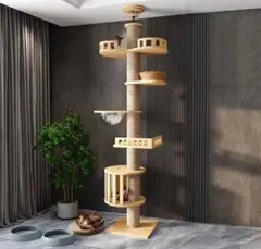 Item thumbnail for item 86fc960a-8565-44ed-be9d-7f3a6c76cd6f