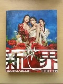 2025年最新】櫻坂46 新せ界の人気アイテム - メルカリ