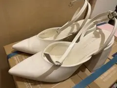 Item thumbnail for item 68a24997-153c-448b-8d78-591eff503892