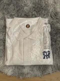 Item thumbnail for item b3336226-df2b-422d-adc4-61be75af2a15