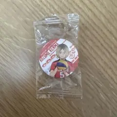 ハイキュー　くら寿司　びっくらポン　孤爪研磨