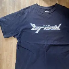 Blankey Jet City SKUNK Tシャツ グレー ブランキー - メルカリ