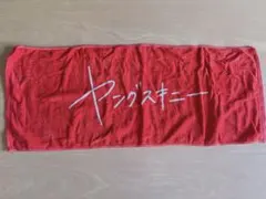 ヤングスキニー ロゴ タオル 赤