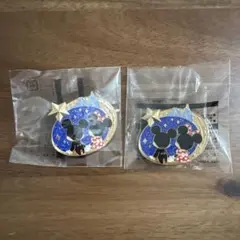 ディズニー アブーズバザール ジャングルカーニバル 景品 ミッキーアンドミニー