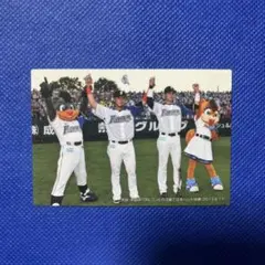 2026年最新】中田翔 プロ野球チップスカードの人気アイテム - メルカリ