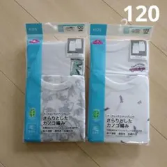 オーガニックコットン タンクトップ 120cm 2枚セット 新品