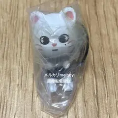 2025年最新】skzoo mini ジニレットの人気アイテム - メルカリ