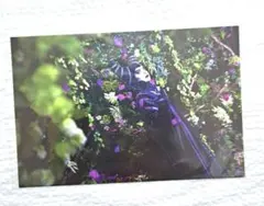 Imaging the Magic ポストカード　マレフィセント　ヴィランズ