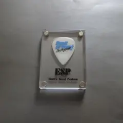 BanG Dream! mygo!!!!! 青木陽菜 ギターピック ケース付のサムネイル