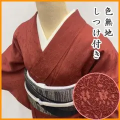 607mi17☆色無地 植物地紋 くすんだ暗めの赤☆しつけ付き美品のサムネイル