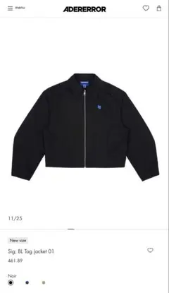 2025年最新】ADER error ナイロンジャケットの人気アイテム