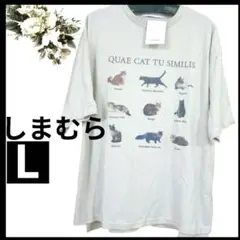 5086♡最終価格‼️‼️ しまむら ねこ 猫図鑑プリント 半袖 Tシャツのサムネイル