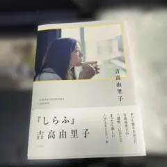 Item thumbnail for item 82e01deb-320a-4008-bfa9-7ce22ade3cf3