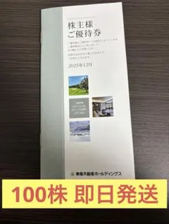 東急不動産ホールディングス　株主優待券100株用1冊