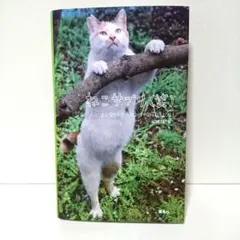 user_f46438b1様 リクエスト 2点 まとめ商品