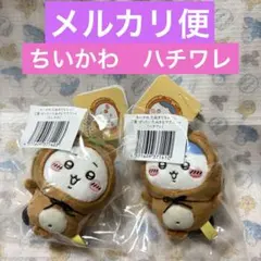 ちいかわ　ハチワレ　たぬきだもんくじ　Ｃ賞　2個セット　マスコット