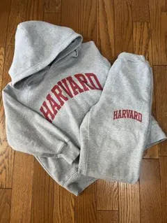 GU HARVARD ヘビーウエイトパーカー＆スウェットパンツ セット グレー