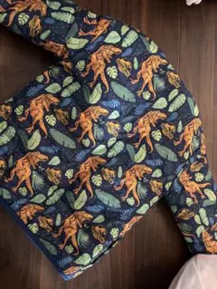 恐竜 ジャンパー リバーシブル コストコ