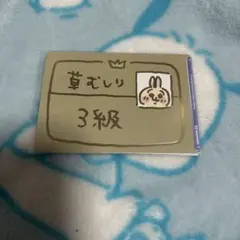 ちいかわ PSA10 草むしり検定 3級 5級 セット(連番) - メルカリ