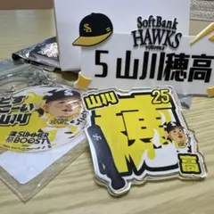ソフトバンクホークス 山川穂高選手