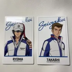 ポラショットコレクション 越前 河村