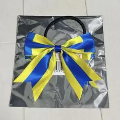 netkeiba 勝負服リボンチャーム ラッキーフィールド