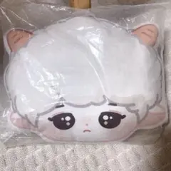 ヤンヤン　ぬいぐるみ　10cm 新品　マスター　NCT wayv ヤンヤン ぬいぐるみ 10cm 新品 류냥이 WayV 威神V NCT