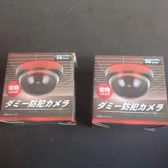 ダミー防犯カメラ　2点セットのサムネイル